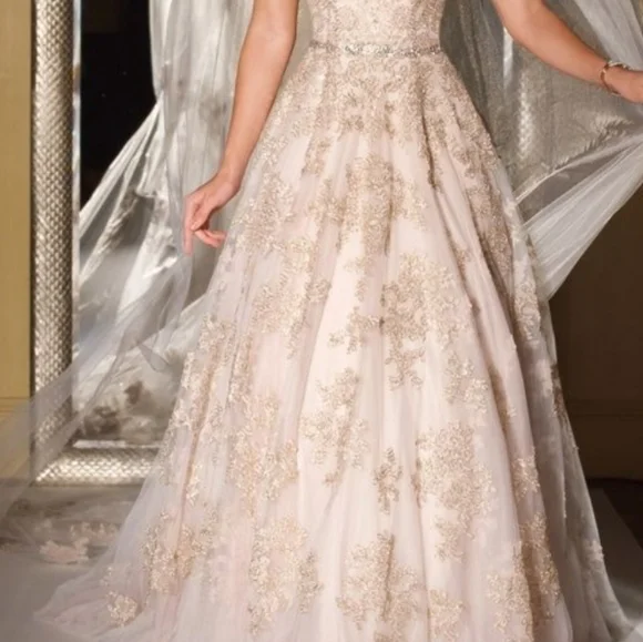 Oleg Cassini Wedding gown size 14 and Veil included, color is Rose